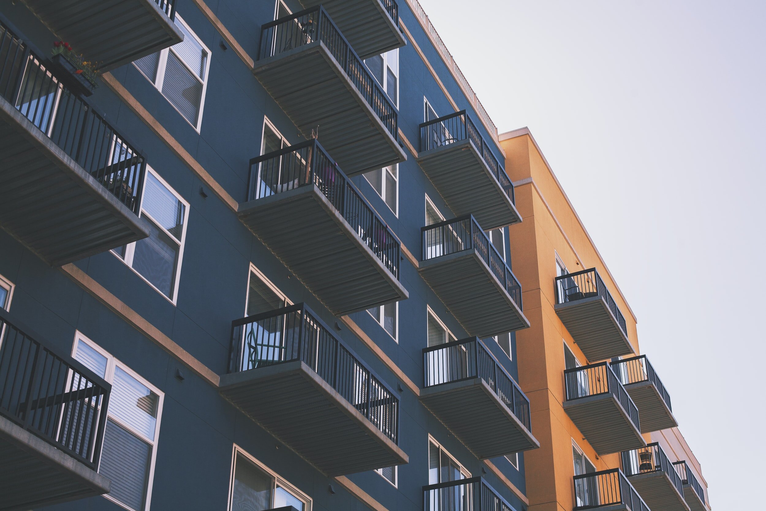 TO RENT OR BUY: TAKE IT FROM A PRO